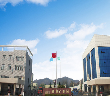 沙棘果粉图1