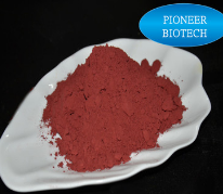 刺玫果提取物 纯天然植物提取 刺玫果皂甙50%图3