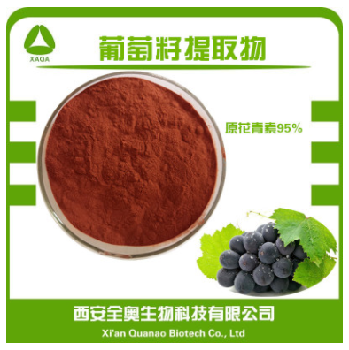葡萄籽提取物 95% 原花青素 现货包邮图1