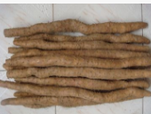 焦作新鲜山药 河南温县铁棍山药垆土散装30~50cm可选绿色农产品图2