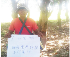 天然拉丝雪燕拉丝好一手货源缅甸雪燕批发传统滋补品一件代发图3