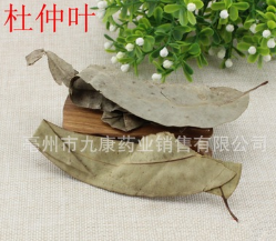 中药材批发 杜仲叶 无添加 纯天然 杜仲叶粉 供应各种规格图3