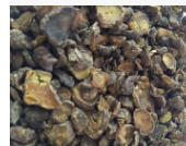 延胡索，Rhizoma Corydalis，含量高，出口品质图2