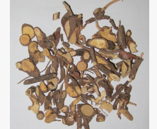 冷背药材批发零售 朱砂根 铁凉伞图3