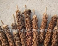 中药材夏枯草 夏枯球 夏苦草夏苦球产地直发棒槌草250克消暑去火图2