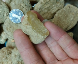 云南昭通天麻 滋补药材天麻片天麻粉 小草坝天麻 野生 产地货源图3