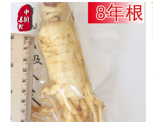 产地批发 保鲜人参 泡酒参 摆摊酒房卖泡江湖必备闪电代发图1