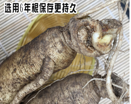 带土鲜人参吉林东北长白山鲜人参500克/一件闪电代发招代理包邮图2