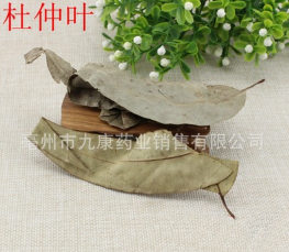中药材批发 杜仲叶 无添加 纯天然 杜仲叶粉 供应各种规格图2