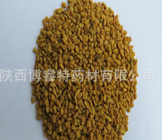 批发中药材 葫芦巴 芦巴子 产地直销 优质新货图2