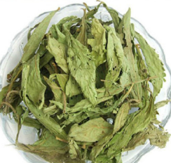 批发供应优质中药材 甜叶菊 新货精选 产地直销图3