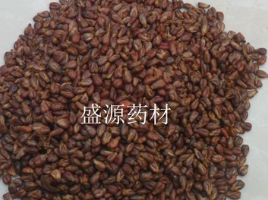 葡萄子中药材 葡萄籽 葡萄籽粉 加工超细粉图1