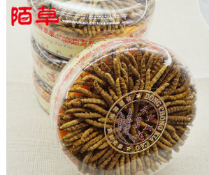 产地货源精选优质西藏那曲冬虫夏草散装批发4条/克全干新货上市图2