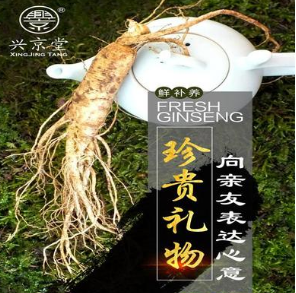 兴京堂 鲜人参长白山新鲜参带土鲜参1支泡酒东北特产保鲜人参图1