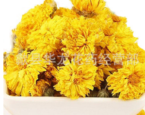 花茶批发 特级黄贡菊 黄贡菊花散装 正宗黄山花茶产地黄花批发图1