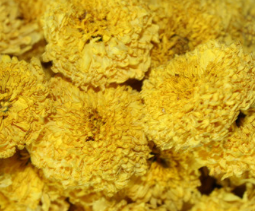 特级头采新花 婺源皇菊徽州皇菊金丝皇菊礼盒通包产地批发代包装图1