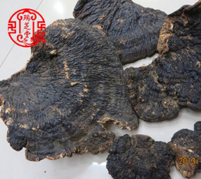 野生灵芝 薄树芝 黑灵芝 同仁堂专柜等级支持鉴定批发一件代发图3