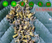 霍山太平畈原产地农民直销 正宗特级仿野生霍山米斛 特价全国包邮图1