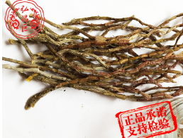厂家种植 铁皮石斛 石斛鲜条干条 铁皮枫斗特级铁皮石斛图3