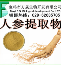 人参提取物 人参茎叶提取物 10% 厂家供应图1