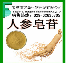人参皂甙 UV80% 人参皂苷 人参提取物 厂家供应图1
