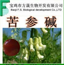 苦参碱15% 苦参总碱50% 植物提取 厂家现货图1