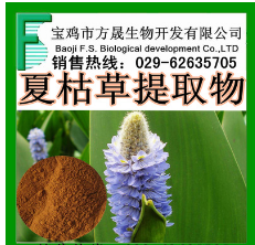 夏枯草提取物 10:1 白花草 大头花 植物提取物 厂家现货图1
