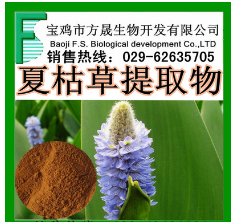 夏枯草提取物 10:1 白花草 大头花 植物提取物 厂家现货