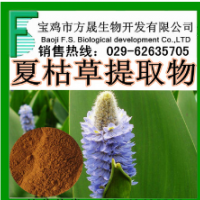 夏枯草提取物 10:1 白花草 大头花 植物提取物 厂家现货