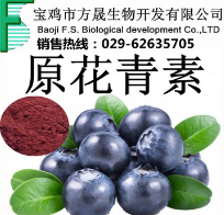 原花青素 蓝莓粉 蓝莓提取物 水果粉 厂家现货图3