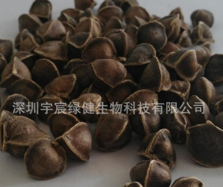 一手货源丁香批发接受预定 中药 火锅底料 调味香料 药食同源图1
