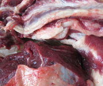 彝山香批发云南驴肉干巴 “天上龙肉地下驴肉” 大理驴干巴图2