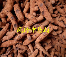 血三七 中药材 正品云南野生血三七 泡酒原料 跌打伤疼胃痛图1