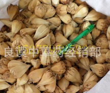中药材山波萝 山菠萝 野菠萝图1