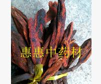 不老草 顶天柱 草苁蓉 独根草 兔子拐棒 补肾助阳，强筋骨图2
