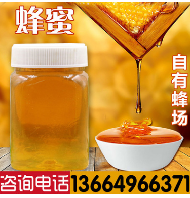 蜂蜜 野生蜂蜜 土蜂蜜 蜂场土蜂蜜 OEM贴牌蜂蜜图1