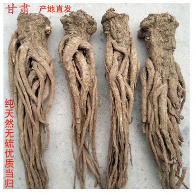 甘肃岷县当归 优质中药材 正品野生 无硫特级 中药材图1