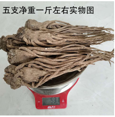 甘肃岷县当归 优质中药材 正品野生 无硫特级 中药材图2