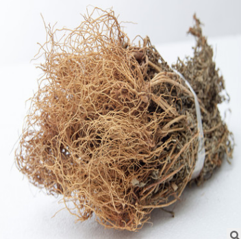新货青鱼胆草 四黄草 水灵芝大货可供 批发零售 一件代发图2