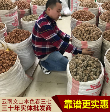 云南文山三七批发 20头30头40头60头春七 水洗足干不打蜡不带剪图1