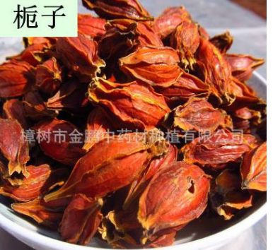 供应枝子 红枝子 山枝子黄栀子 量大从优图3