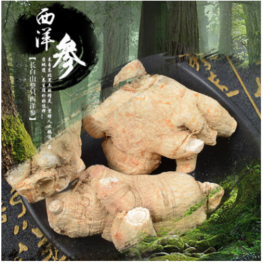 正宗长白山西洋参段 东北西洋参 花旗参大粒头 厂家直销图1