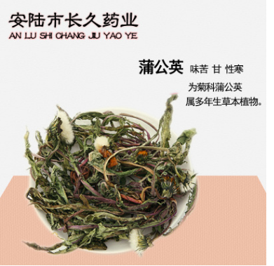 蒲公英茶 野生蒲公英根整棵带根干的婆婆丁纯天然图1