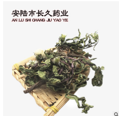 蒲公英茶 野生蒲公英根整棵带根干的婆婆丁纯天然图2