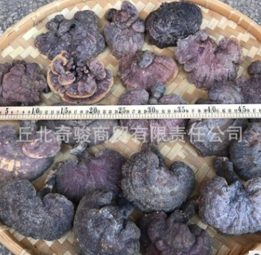 正宗云南野生红灵芝 产自三七之乡、普者黑风景区所在地丘北县图2