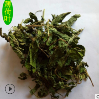 批发供应 薄荷叶 干薄荷叶 清凉薄荷茶 量大从优