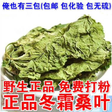 干桑叶纯农产品材霜桑叶天然冬桑叶500克包邮可搭桑叶茶图1