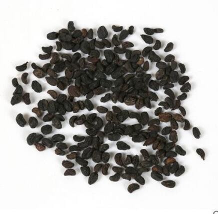 酒女贞子【1kg/袋】图2