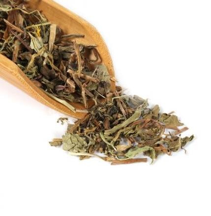 蒲公英【1kg/袋】图1