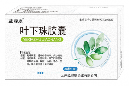 叶下珠胶囊图1